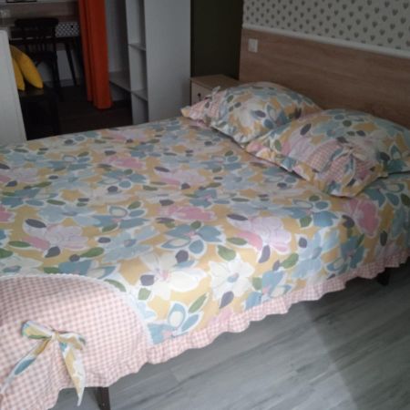 Hotel Sainte Therese Lourdes Buitenkant foto